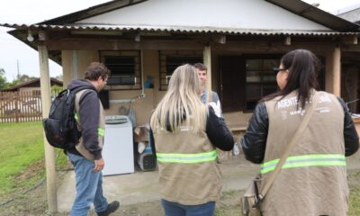 Pontal do Paraná Intensifica Combate à Dengue com Ovitrampas e Conscientização